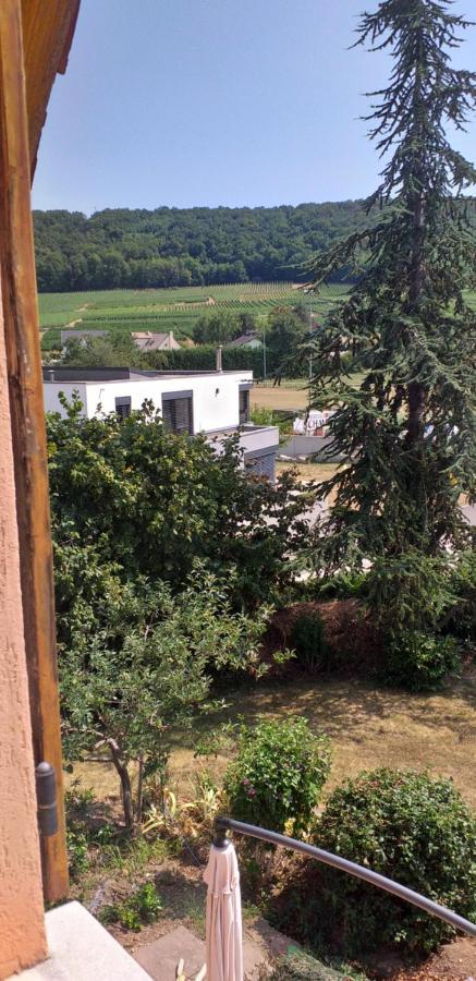 Westhalten Gite Dans Vignoble Alsacien מראה חיצוני תמונה